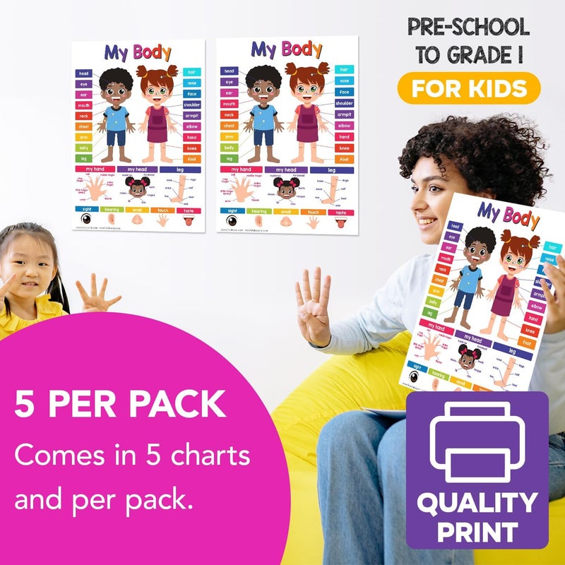 FoldCard Educational Charts for Preschool to Grade 1 Kids – Bright and Colorful Educational Visual/Learning Aid Poster for Classroom or Home | Glossy Durable Cardstock | 8.5" x 11" | 5 per Pack (My Body) - Image 4